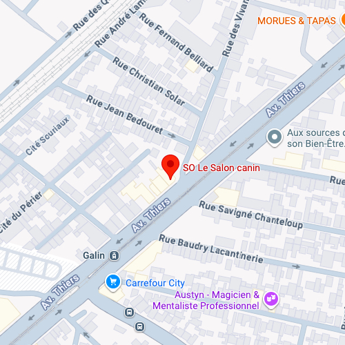 img de google maps montrant l'adresse du salon